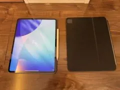 【本日のみセール】iPad Pro13インチ(M4)セルラーシルバー付属品あり