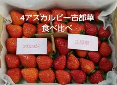 2026年最新】アスカルビーの人気アイテム - メルカリ