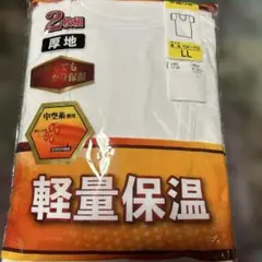 Item thumbnail for item dc47b0d8-66d8-4045-9bf3-f630a64ef885