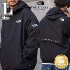 新品 ✨ 完売品 L ノースフェイス ヴィランEXジャケット ブラック 黒