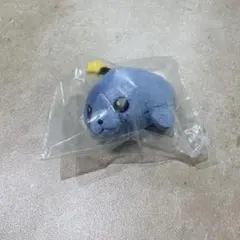 教育番組 タマ(退化)