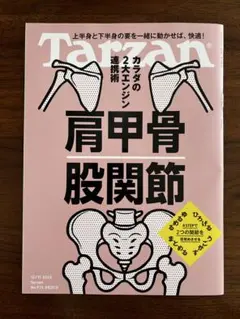 Tarzan ターザン 915号