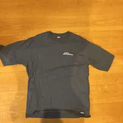 Dickies Tシャツ