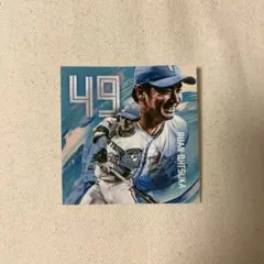 北海道日本ハムファイターズ 大塚瑠晏 カラーステッカー