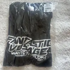 FANTASTICS♡FANTASTIC VOYAGE♡ツアーTシャツ