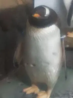 Item thumbnail for item c802011b-a368-41c0-8c66-d2bb9ff55f17