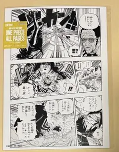 本日発送】スリラーバーク編 ワノ国の侍 ゾロ オールページズ - メルカリ