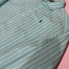 Polo Ralph Lauren 水色ストライプ長袖シャツ