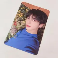 テヒョン ヨントン特典トレカ