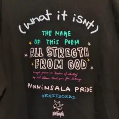 Mark Gonzales マークゴンザレス Tシャツ L　丈69　スケボーのサムネイル