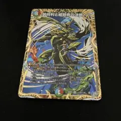 武将利と威嚇命の決断 パーフェクトビクトリー シークレット シク 2枚