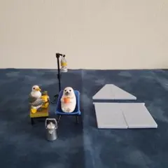 アニマルキャンプ