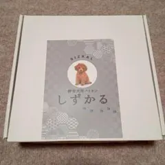 Item thumbnail for item 9d8b58eb-a3a4-4620-99e3-73ff73525847