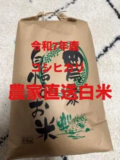 令和7年産 【コシヒカリ】 新米10キロ 農家直送 愛媛産 白米 - メルカリ