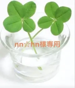 nn☆hn様専用のサムネイル