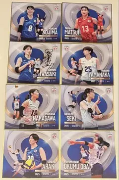 Item thumbnail for item 4055cb10-00ed-4178-96b8-1a2b30dba215