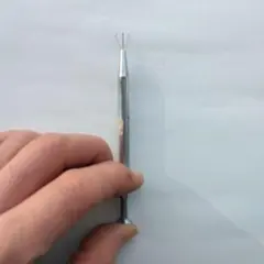 Item thumbnail for item 2fa055c7-8921-4339-8049-5b57980e8222