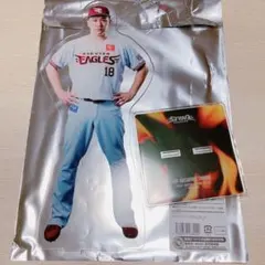 田中 アクスタ