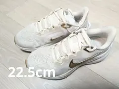 Nike ペガサス41 ランニングシューズ 22.5cm
