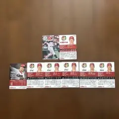 プロ野球チップス　広島カープ 8枚セット