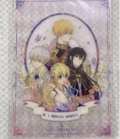 ある日、お姫様になってしまった件について 完結編 クリアカード