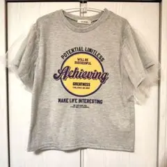 未使用品 チュールスリーブ グレー Tシャツ M