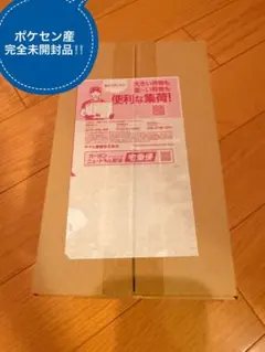 【新品未開封】ポケモンセンター フクオカ スペシャルボックス