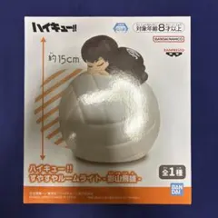 ハイキュー 影山飛雄 すやすやルームライト