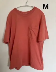 Item thumbnail for item 087809aa-53ef-40b6-abe7-3ed7597fca3f