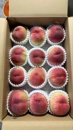 和歌山県産 あら川の桃 （白鳳）旬の果物 ギフト15玉入り - メルカリ