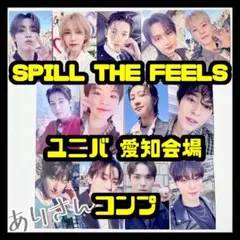 SEVENTEEN トレカ 愛知 会場 限定 ユニバ 13種 コンプ STF ④