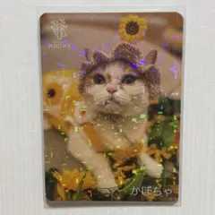 みゆき様専用出品