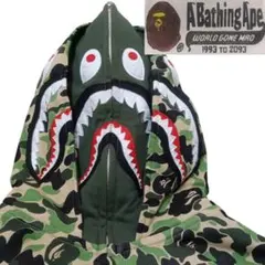 Item thumbnail for item 6c43e384-00bc-40fe-af84-d7179c079881