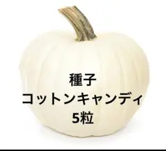 まゆ3様 リクエスト 6点 まとめ商品