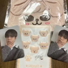 スキズ　SKZOOポンくじ　パピームセットのサムネイル