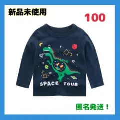 匿名発送！キッズ 恐竜 ダイナソー Tシャツ 長袖 100 A