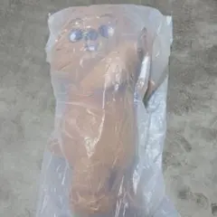 Item thumbnail for item 2113a409-2234-48c9-8174-287459aa7593