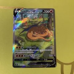 ポケモンカード リザードンV SAR S12a VSTARユニバース　おまけ付き