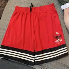 adidas シカゴブルズ バスケットボールパンツのサムネイル