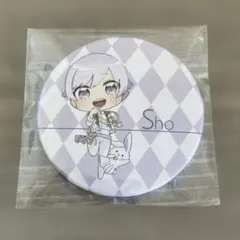 いれいす 初兎 缶バッジ stage デフォ SD