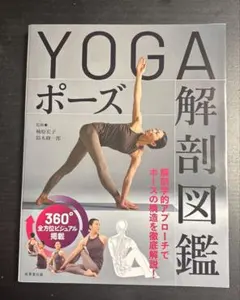 YOGAポーズ　解剖図鑑