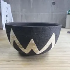 手作植木鉢 グラデーション植木鉢（ 塊根植物 グラキリス パキプス