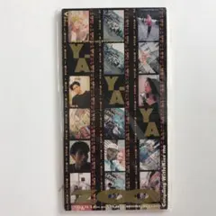 ZOO/ヤ・ヤ・ヤ