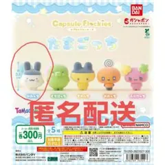 新品 みみっち 未開封 たまごっち カプセルフロッキー ガチャガチャ