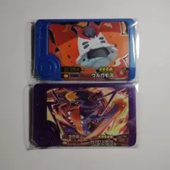 H*K様 ポケモンフレンダ　ガブリアス