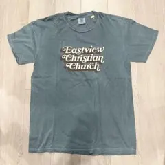 COMFORT COLORS Tシャツ Lサイズ ブルーグレー　英語　緑