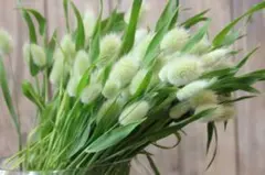 小梅様 リクエスト 2点 まとめ商品