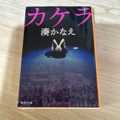 Item thumbnail for item 72e2724f-68c3-4647-91d0-97574534b442