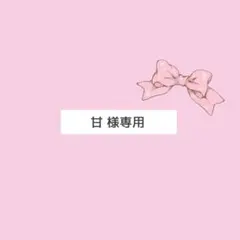 ♡ 甘 様専用 オーダーページ ♡