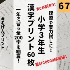 【復習や確認テストに】67.小学3年国語漢字ドリル、七田式、公文、五十音、知育のサムネイル